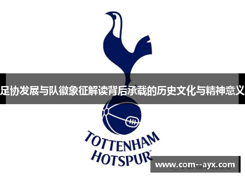 足协发展与队徽象征解读背后承载的历史文化与精神意义